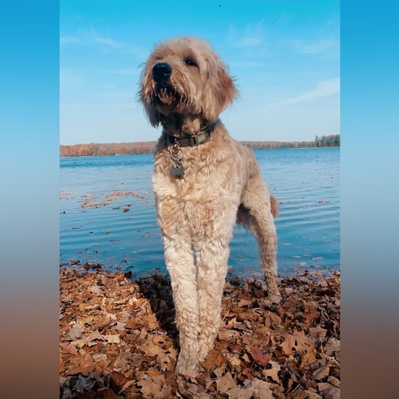 READ ABOUT MY CLOSET! - Picture 4 of 7